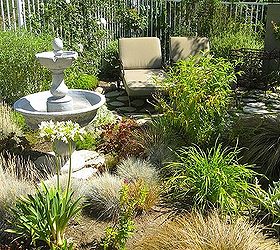 plan your dream garden with shirley bovshow and hometalk, gardening, outdoor living, A no mow yard who would have thought not mowing could look this good