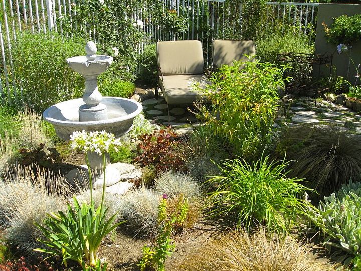 plan your dream garden with shirley bovshow and hometalk, gardening, outdoor living, A no mow yard who would have thought not mowing could look this good