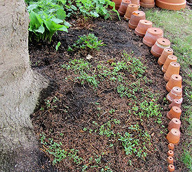 top flower junk garden posts 2012, container gardening, flowers, gardening, repurposing upcycling, succulents, In Setting Up A Terra Cotta Pot edging I show how I create an under tree edging
