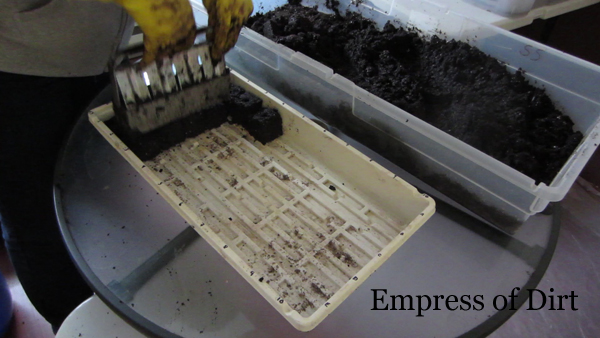 uso de una herramienta de bloqueo de suelo para facilitar el inicio de las semillas, La herramienta de bloqueo de tierra se presiona en la mezcla de inicio de semillas y luego los bloques se liberan en una bandeja