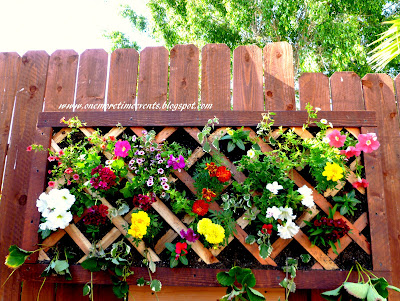 2 tipos de jardines verticales de pared, Me encanta el aspecto de las flores hasta que comenz a parecerse a