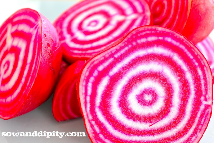 the beauty of fall, gardening, Chioggia beets yum