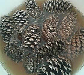 bleached pine cones, crafts, 2 Pour a bleach water mixture with a ratio of 1 1 over your pine cones The water will turn icky pretty quickly That s the color and the dirt draining away from the pine cones Let the pine cones sit for at least 24 hours