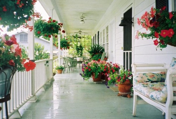 my back porch, outdoor living, porches, My favorite place for a cup of coffee or glass of wine