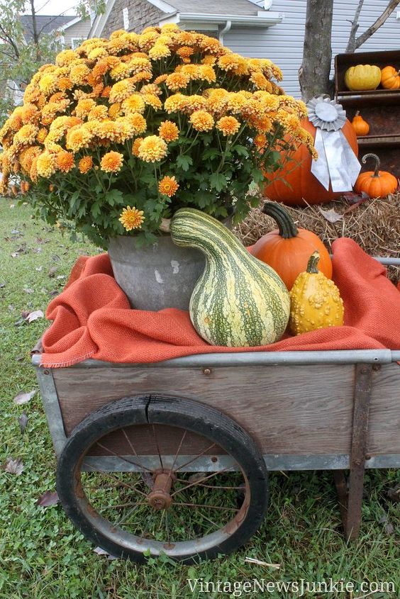 from front porch drab to fall tastic fab, gardening, seasonal holiday decor