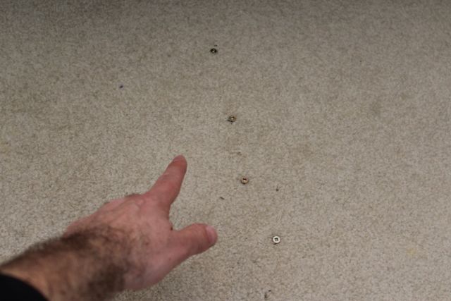 easily fix squeaky carpeted floors, flooring, home maintenance repairs, how to, Screws are aligned along a joist and pull the subfloor tight This fixes squeaks