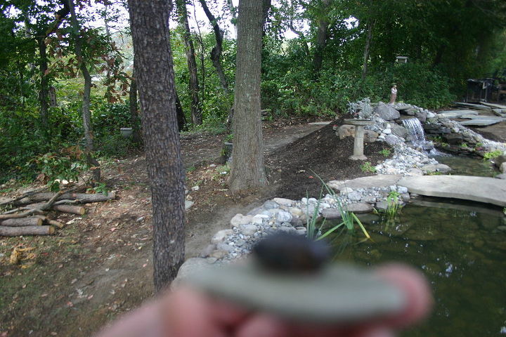ponds water falls stone walls and patios, outdoor living, patio, pets animals, I m a little out of focus but you can see my knew home that is if the owner will let me stay Now why wouldn t he let me stay Do you know
