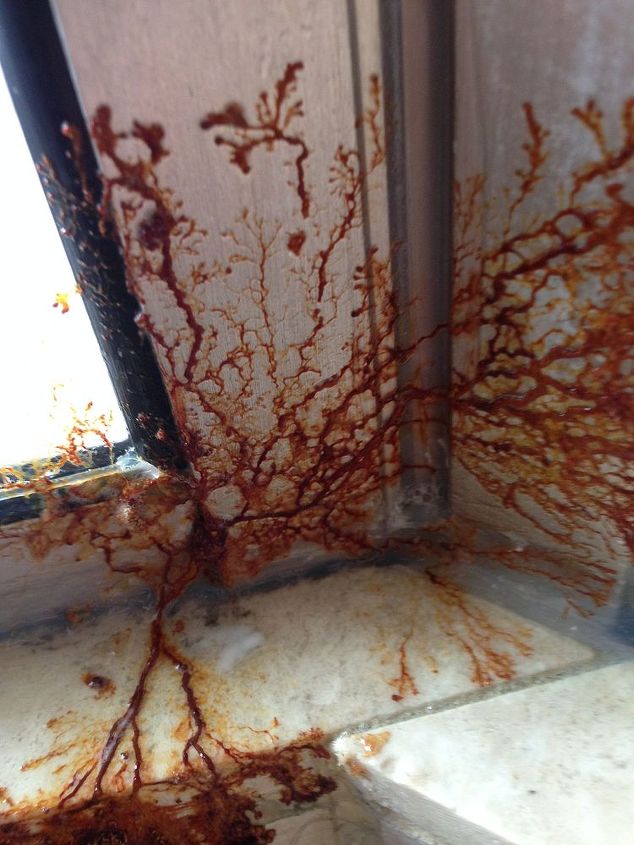 q what is this growing in my shower, bathroom ideas, cleaning tips, home maintenance repairs, It is moving up the shower