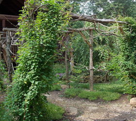 locust arbor, gardening, landscape