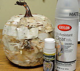 rustic birch pumpkin craft, crafts, decoupage, repurposing upcycling, seasonal holiday decor, Once the whole pumpkin is covered and dry spray the pumpkin with acrylic sealer I then also sprinkled it with glamour dust for a little sparkle