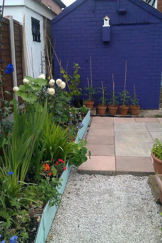 my garden labour of love and work in progress, flowers, gardening, outdoor living, On purple wall will be climbing white rose called white swan I just have to wait until it will climb