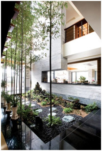 no longer strictly reserved for the outdoors living trees can breathe, home decor, Choose the right trees for your d cor Modern contemporary styles look best with sleek long slender shaped trees that add clean lines to your space and frilly greens such as ferns complement more feminine designs