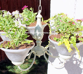 planting in a chandelier, gardening, lighting, repurposing upcycling, Planting in a chandy