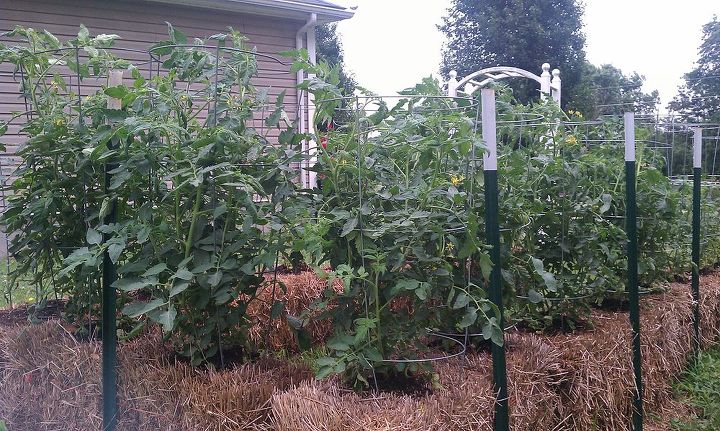 Straw Bale Gardening Great In All Climates From The Arctic To The