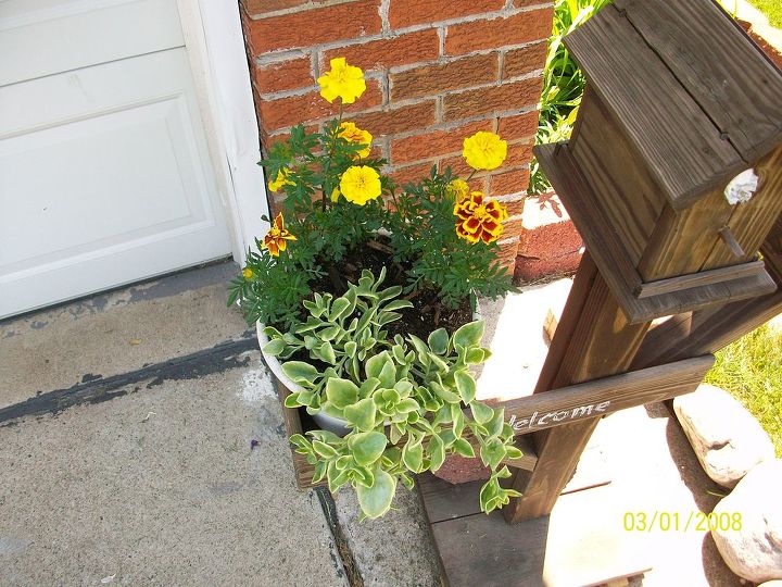 2012 yard pics, flowers, gardening