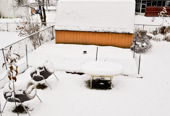 how to further your garden plans in winter, gardening
