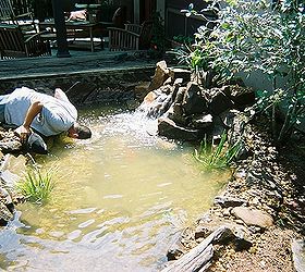 pond makeover for lisa s small courtyard garden in houston, outdoor living, ponds water features, Juan takes a close up look at the fish