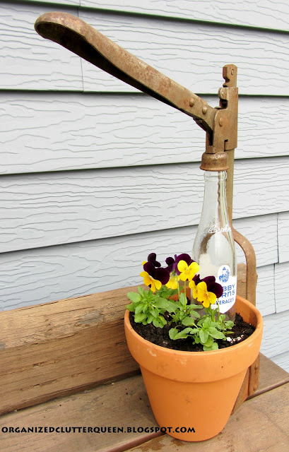top flower junk garden posts 2012, container gardening, flowers, gardening, repurposing upcycling, succulents, In My First Garden Junk Planter of 2012 I display a terra cotta pot of violas with a vintage bottle and bottle capper