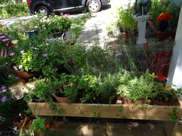 herbs, gardening