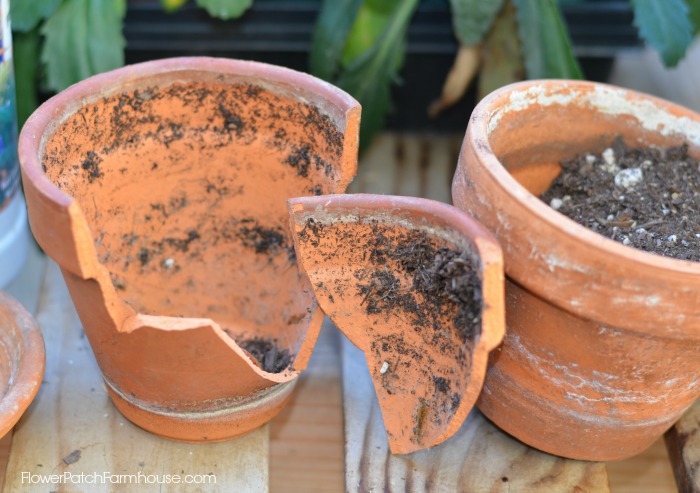 from broken pot to mini garden sculpture, crafts, gardening, All it takes is one broken pot some potting soil mixed with perlite for good drainage