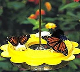 make a diy butterfly feeder in 6 easy steps, Cut your sponge into strings about one inch wide and then pull it through the hole so there is about a half inch of sponge sticking out from the top of the lid