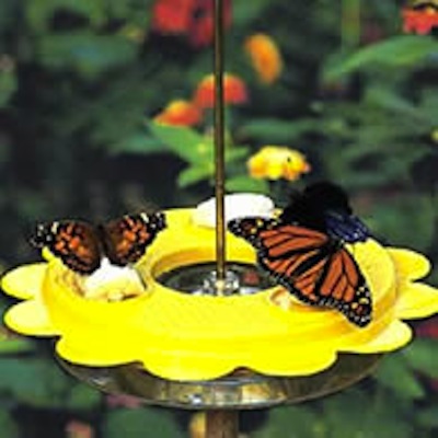 faa um alimentador de borboleta diy em 6 etapas fceis, Corte a esponja em tiras de cerca de 2 5 cm de largura e passe as pelo orif cio de modo que 1 2 cm da esponja saia do topo da tampa