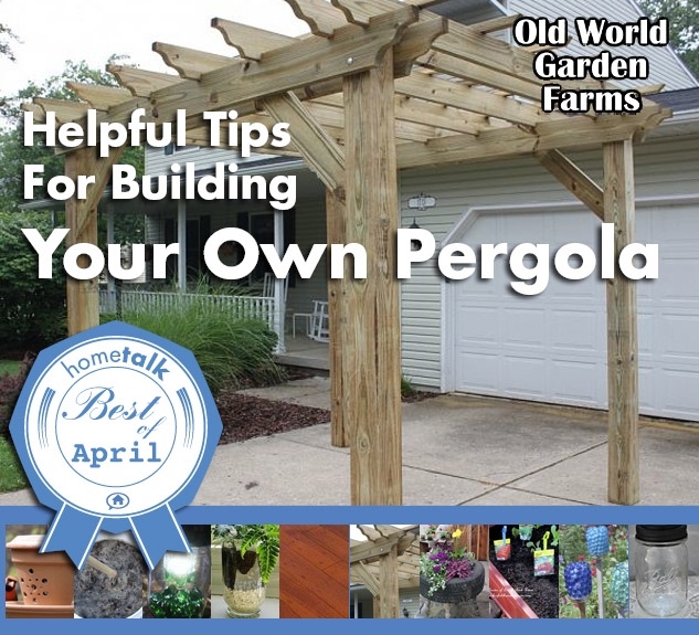 what were the top 10 hometalk posts in april, Old World Garden Farms always have such great advice