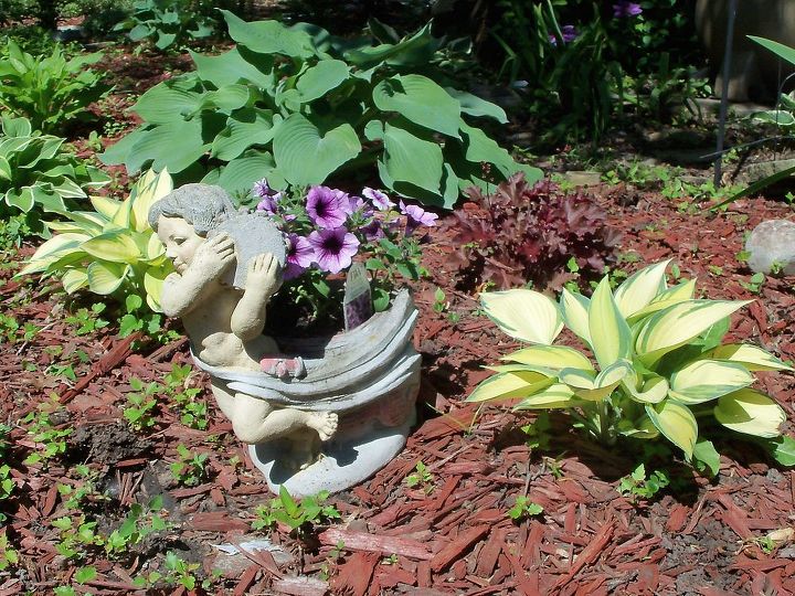 purple and yellow winners in the garden, flowers, gardening, raised garden beds, Purple petunias annuals between yellow hostas