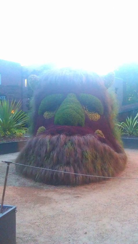 atlanta botanical gardens for date night, gardening, succulents, Another view of ogre