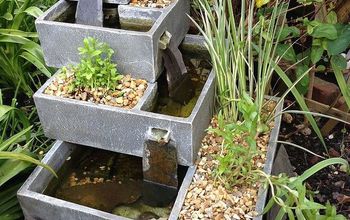 Poner plantas acuáticas en una jardinera de fuente de agua