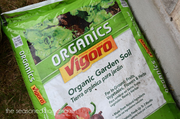 Add some potting soil to any container. Really! Anything will work for this.