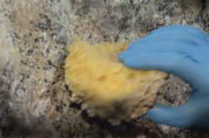 painted tile countertops, concrete countertops, countertops, diy, kitchen backsplash, kitchen design, painting