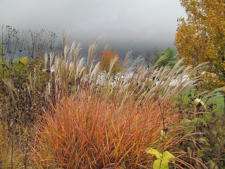 comparte usted las vistas de su jardn para animar a otros a probarlo