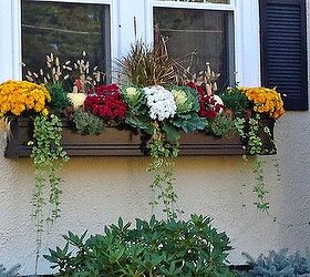 window box samples, curb appeal, gardening, window treatments, windows, Fall window box
