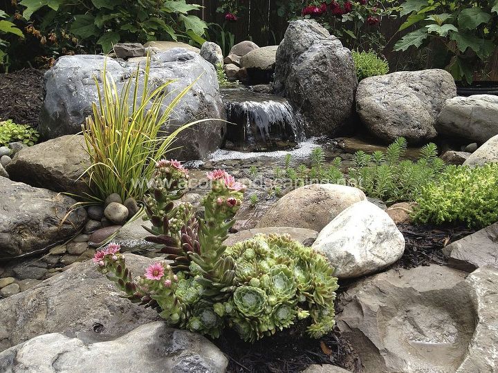 6 tips for designing and installing a water garden or fish pond, gardening, home decor, outdoor living, ponds water features, Tip 4 Add a stream and waterfall A small shallow stream is perfect for birds to come and get a drink and take a bath Be sure to angle the waterfall towards the viewing area