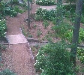 atlanta botanical gardens for date night, gardening, succulents, Looking down from the canopy walk