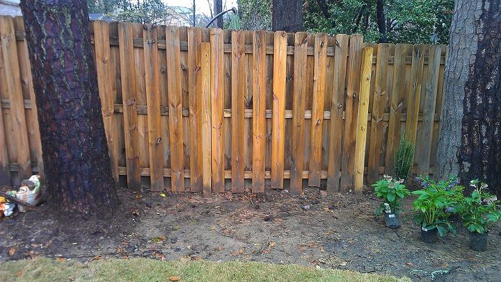 q ideas for landscaping along a backyard fence, flowers, gardening, landscape, perennial