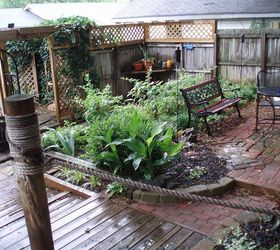 garden, outdoor living, It had just rained