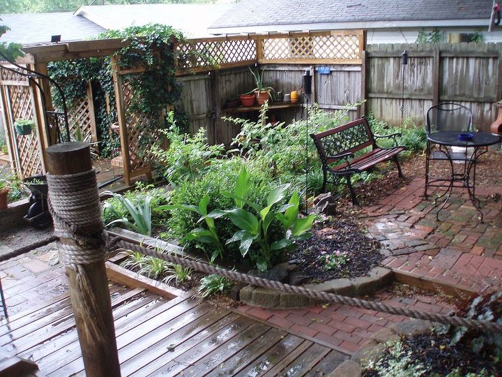 garden, outdoor living, It had just rained