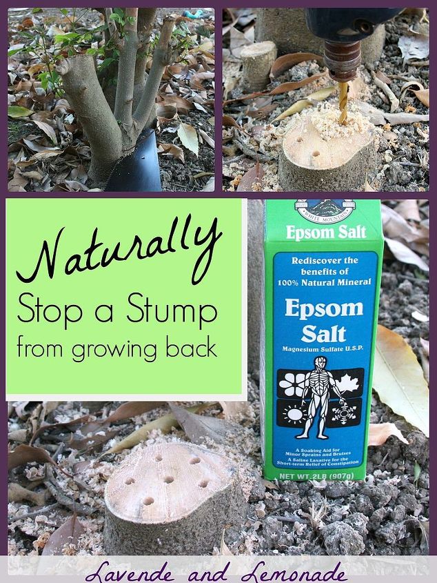 how to stop stumps from growing back naturally, gardening