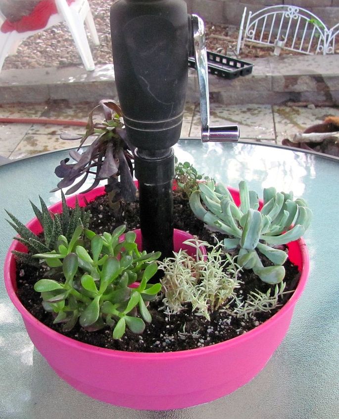 umbrella planter on the cheap side, gardening