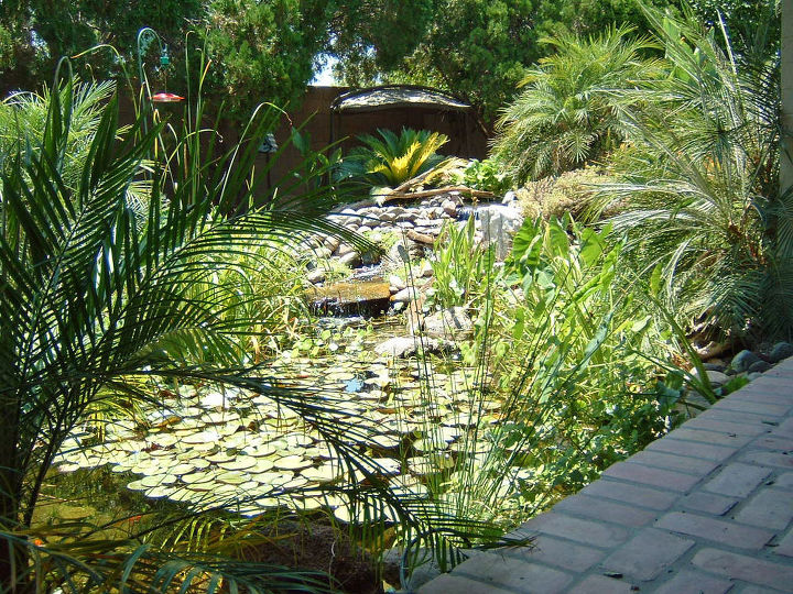 our work, flowers, gardening, outdoor living, pets animals, ponds water features, Water sustains all Thales of Miletus 600 B C