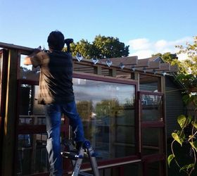 greenhouse project 2013, diy, gardening, repurposing upcycling, woodworking projects