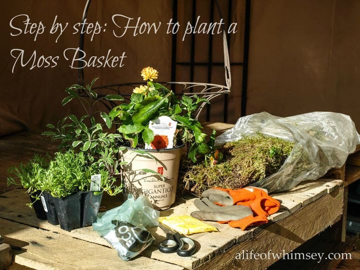 step by step how to plant a moss basket, container gardening, gardening