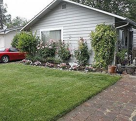 front yard still in progress, curb appeal, landscape, Ok here is the sod this year still working on the flowerbed