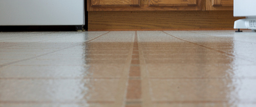 what are the benefits of linoleum flooring, flooring, hardwood floors, tile flooring, Linoleum flooring