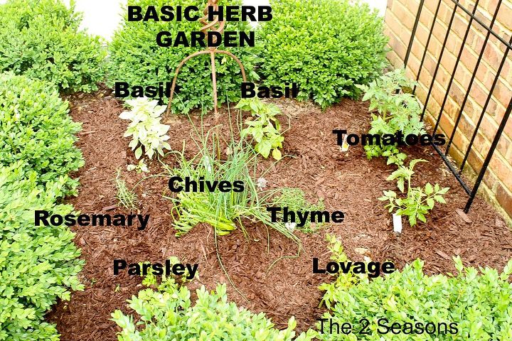 grow herbs in a small space, gardening