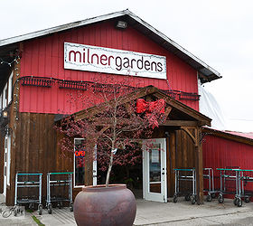 outrageous garden features and toolkit making ht meetup at milner, flowers, gardening, perennials, repurposing upcycling, Milner Village Garden Centre is located in Langley BC Canada and is loaded with perennials annuals and one of the most outstanding gift shops I ve ever seen They host the most creative events imaginable