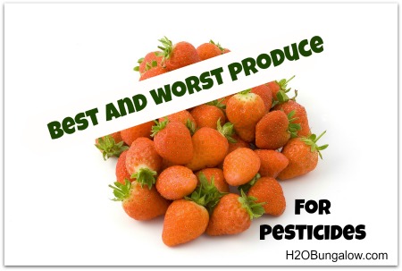 best and worst produce for pesticides, gardening, green living