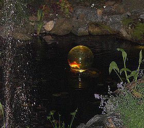 bring your fish above the water enjoy, ponds water features